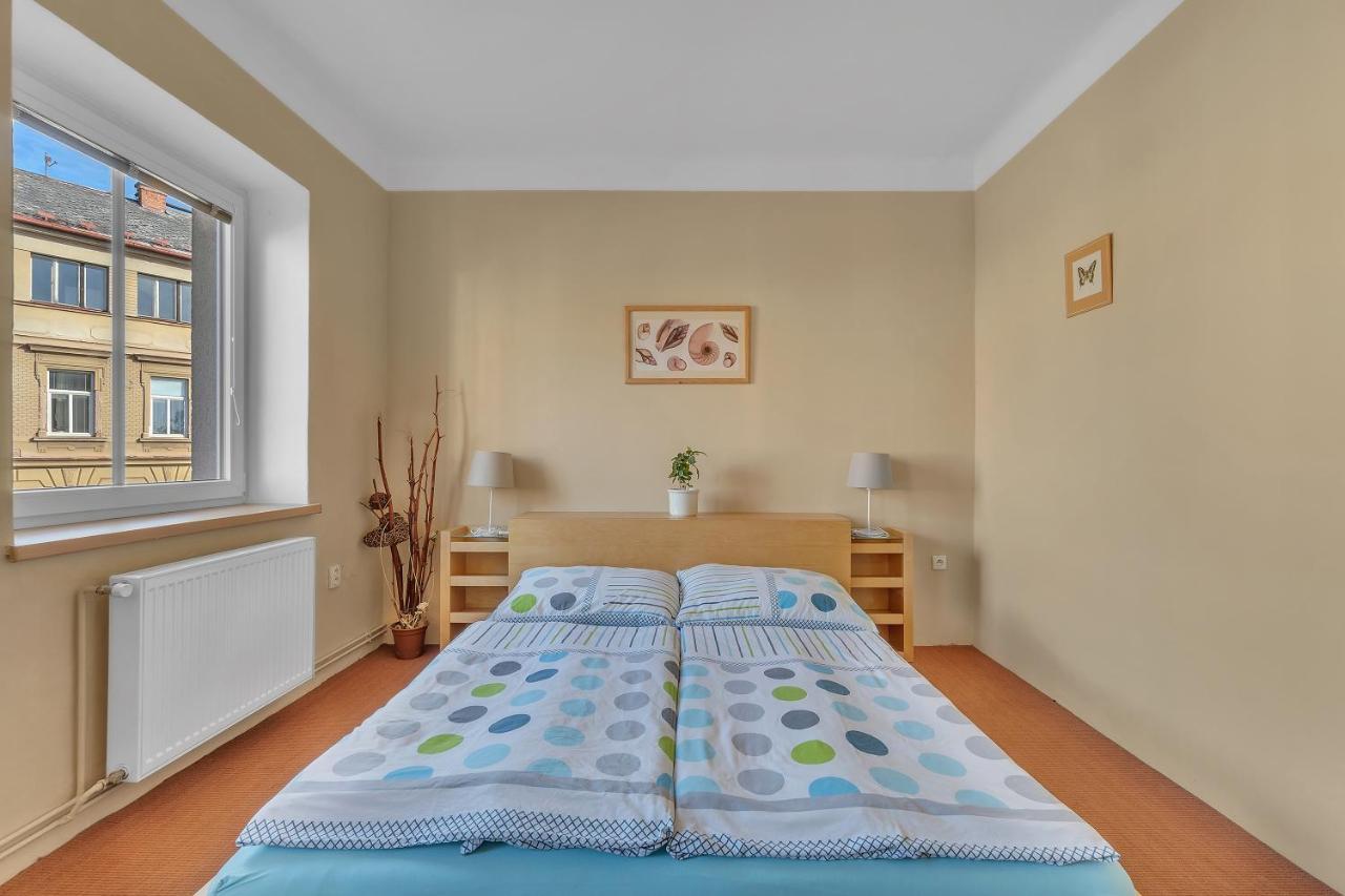 Apartman U Javorky Lázně Bělohrad Dış mekan fotoğraf